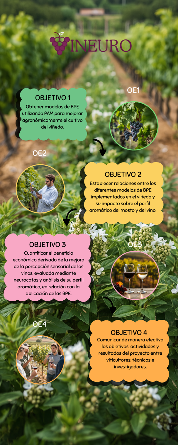 Objetivos del proyecto GO VINEURO