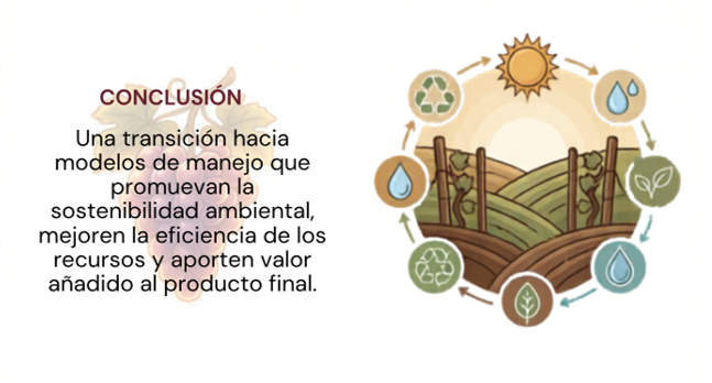 Reto del sector vitivinícola 3